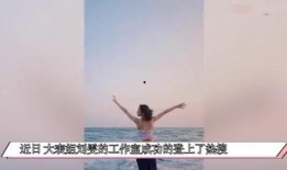 劉雯娛樂爆料視頻,揭秘明星幕后故事