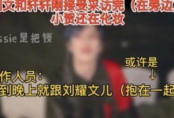 文軒節(jié)目爆料最新視頻,揭秘幕后真相，精彩瞬間不容錯(cuò)過