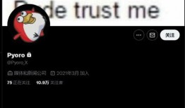 如何看內鬼爆料視頻呢,視頻背后的真相與啟示