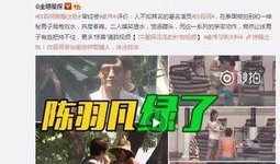 沾化出軌爆料案件最新,真相揭露，法律制裁并行