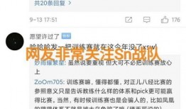 s10訓(xùn)練賽最新爆料,神秘陣容崛起，巔峰對(duì)決一觸即發(fā)！