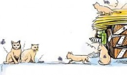 跳蚤在線觀看,一場驚心動魄的冒險之旅