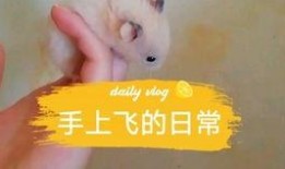 娛樂圈吃瓜背景板,揭秘幕后真相，吃瓜群眾背后的故事