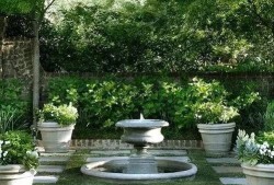 爆料自家小院生活視頻,溫馨日常溫馨瞬間