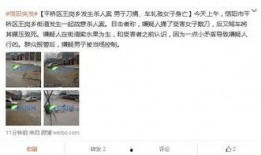 信陽爆料女子死亡案件最新,悲劇背后揭開驚人真相