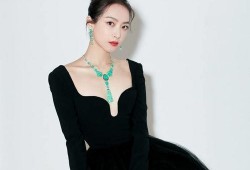 黑天鵝娛樂爆料,揭秘娛樂圈不為人知的驚天秘密